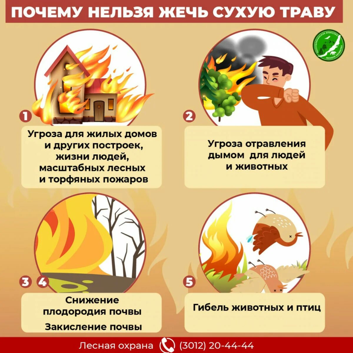 Не жгите сухую траву. Нельзя поджигать сухую траву. Не жги сухую траву. Сухая трава пожарная безопасность для детей. Листовки не жгите сухую траву.