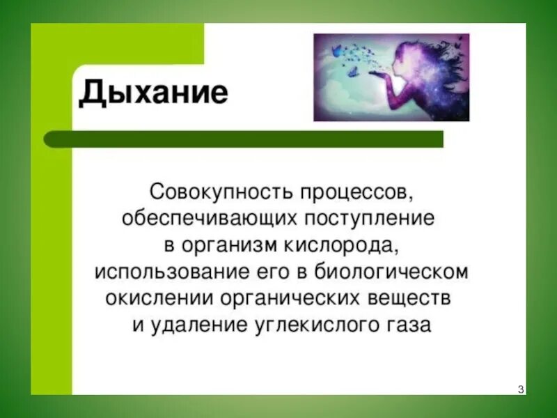 Дыхание это в биологии. Дыхание 6 класс биология. Дыхание растений и животных 6 класс биология. Доклад по теме дыхание. Какой процесс называют дыханием биология 6 класс