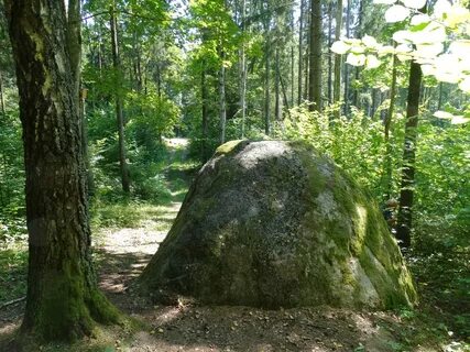 Санатории каменная гора бабаево