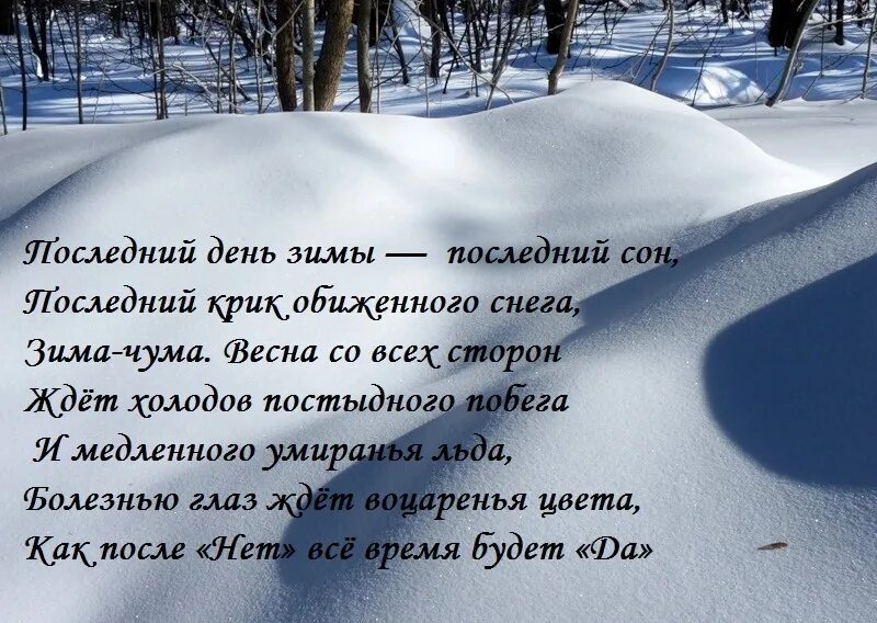 Зима поэзия. С последним днем зимы. С последним зимним днем. Стихи про февраль. Последний день зимы стихи.