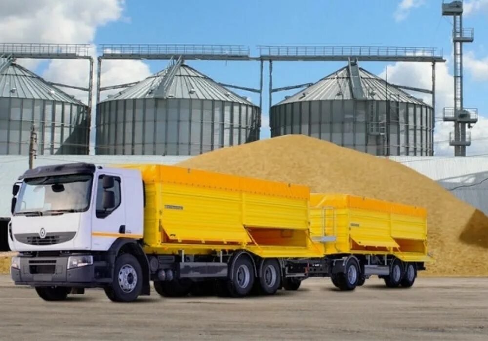 Камаз 45143 на уборке зерновых. Машина для перевозки зерна. Выгрузка зерна. Автомашин зерна. Пшеница на элеваторе.