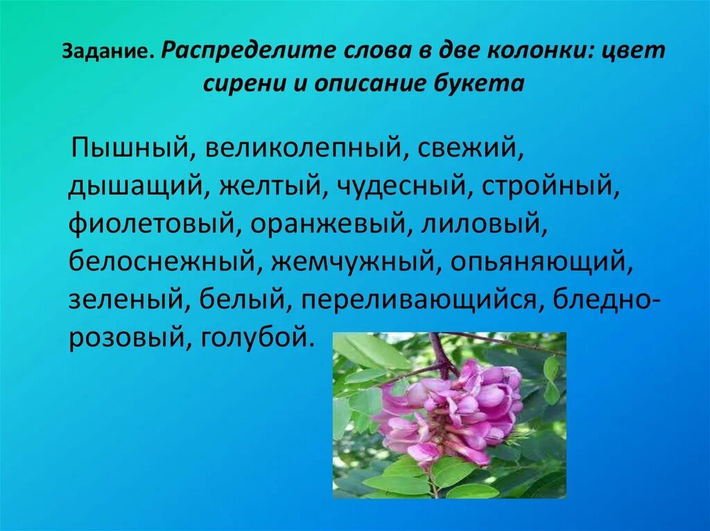 Рассказ букет цветов. Описание букета. Описание цветочного букета. Описание букета цветов текст. Описание букета цветов для продажи.