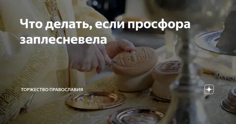 Что делать с просфорой если она заплесневела