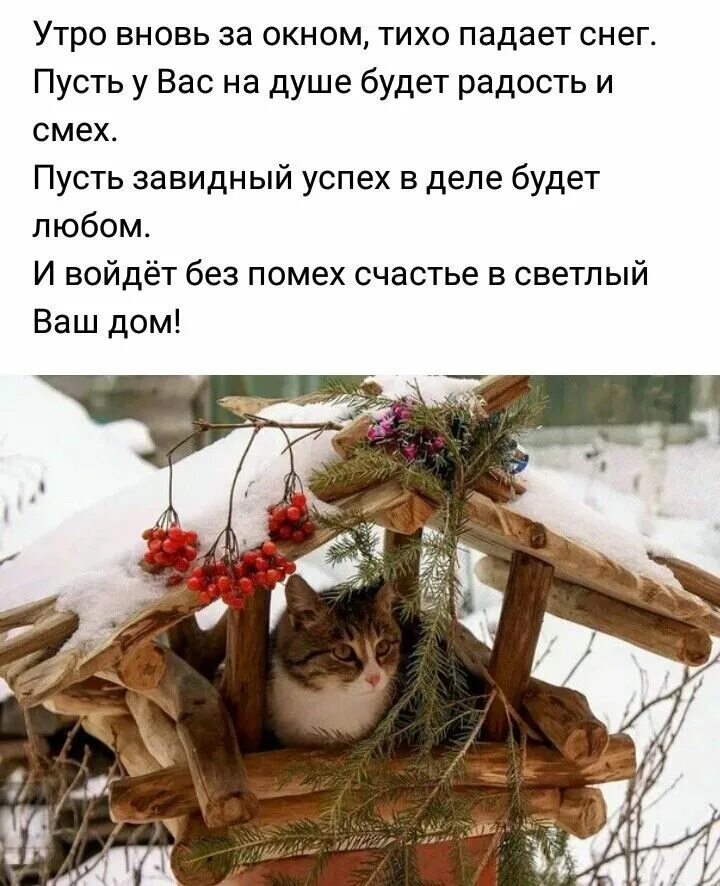 Утро зимнее с цитатами. Доброе зимнее утро февраля. Картинки с добрым утром зимние стильные. Доброе утро зима цитаты. Утро зимнее с цитатами.