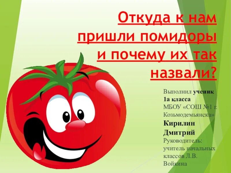 Помидор имя прилагательное подобрать. Проект на тему помидор. Презентация на тему помидор. Томат для презентации. Откуда к нам пришли помидоры и почему их так назвали проект.