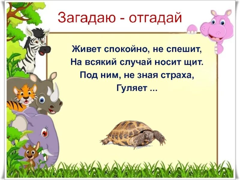 Отгадай загадку живёт спокойно не спешит на всякий случай носит щит. Живёт спокойно не спешит. Под ним не зная страха гуляет живет. В зоопарке у зверей речевая практика.