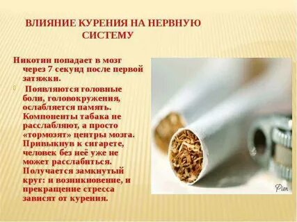 Табачный дым влияет на