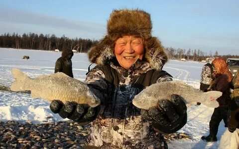 Кобяйский улус