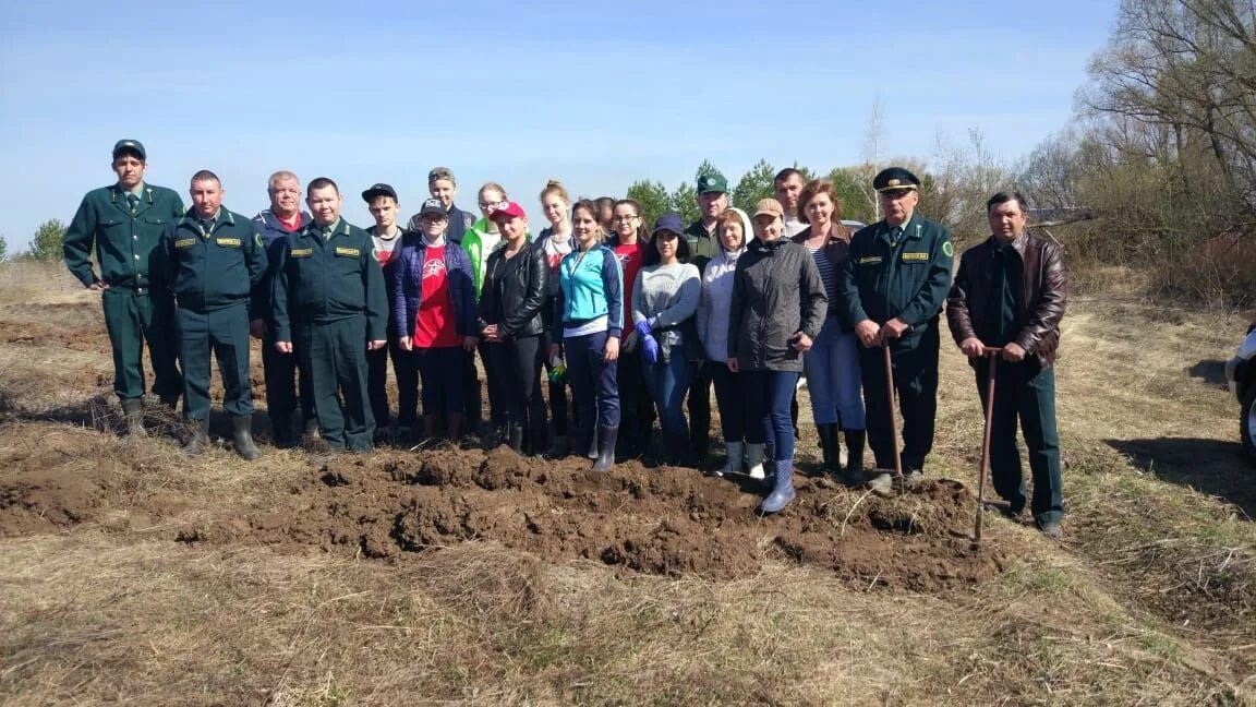 Приволжское лесничество татарстан. Зам министра лесного хозяйства рт. Приволжское лесничество татарстан. Приволжское лесничество татарстан. Приволжское лесничество.