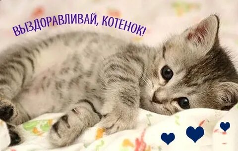 Картинки выздоравливай скорее любимой