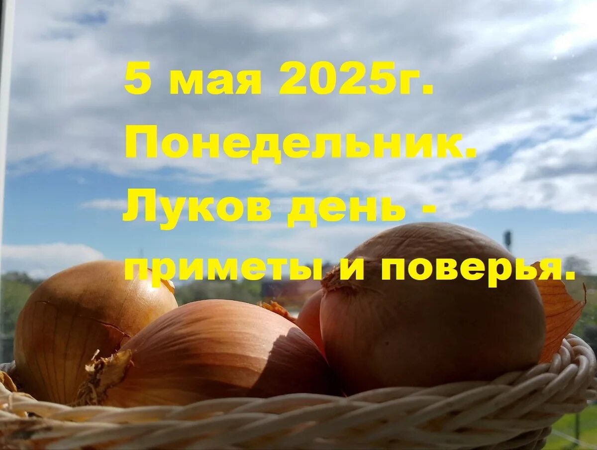 Народный календарь: июньские приметы и традиции