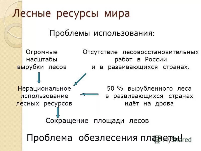 лесные ресурсы презентация 10 класс