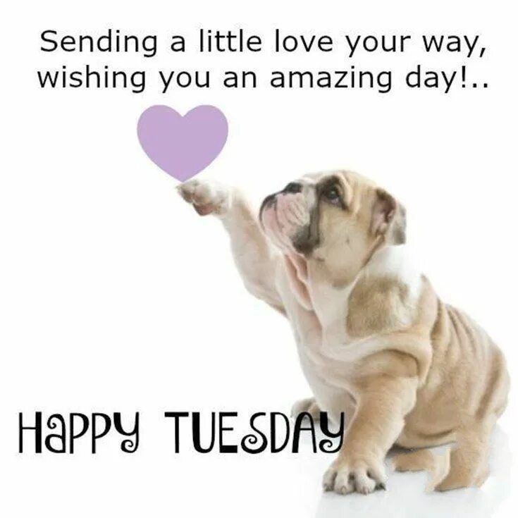 Your loving ways перевод. Цитаты про tuesday funny. all i need is your love good morning.