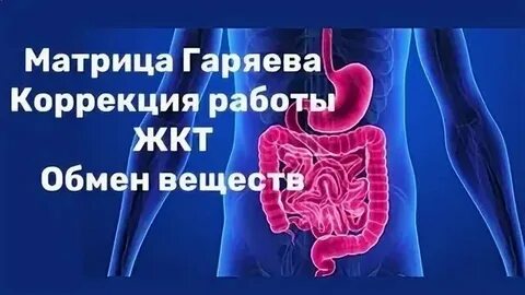 Матрица горяева исцеление жкт