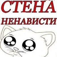 Ненавижу стены. Ненавижу новый год. Proven. Ненавижу мем со стеной. Алдан стена - ненависти.