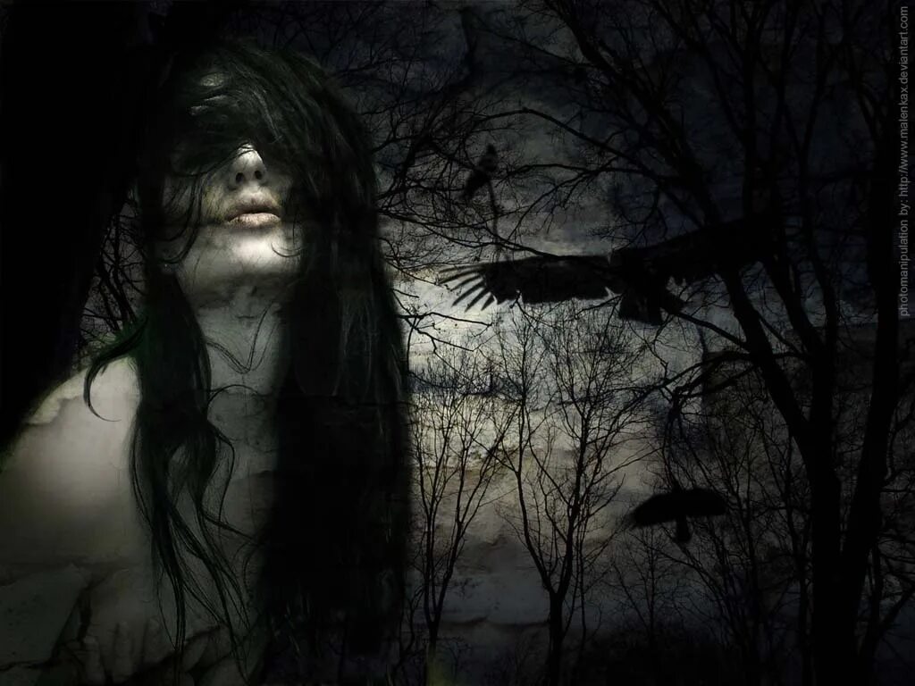 старинные странные снимки. страшный лес. кладбище мистика. лес страшно. жуткий лес.