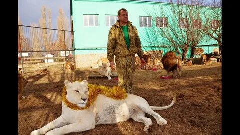 Что произошло в парке тайган