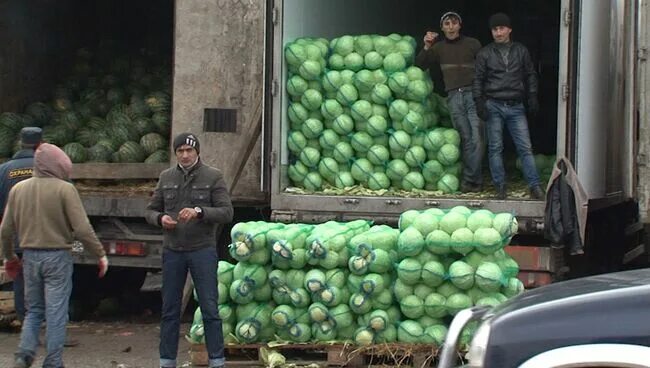 Работа калининской овощебазы