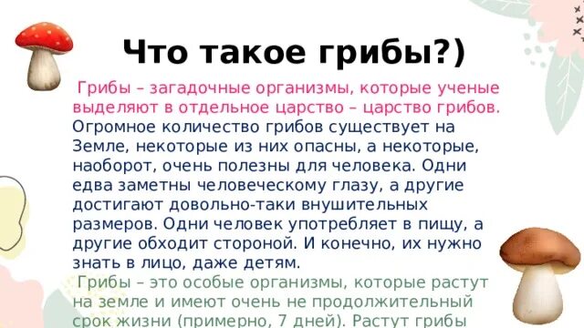 Грибы для дошкольников. Грибы определение. Загадочные грибы. Численность грибов на земле.