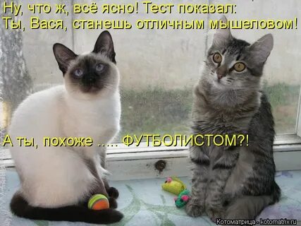 Ну там друзья