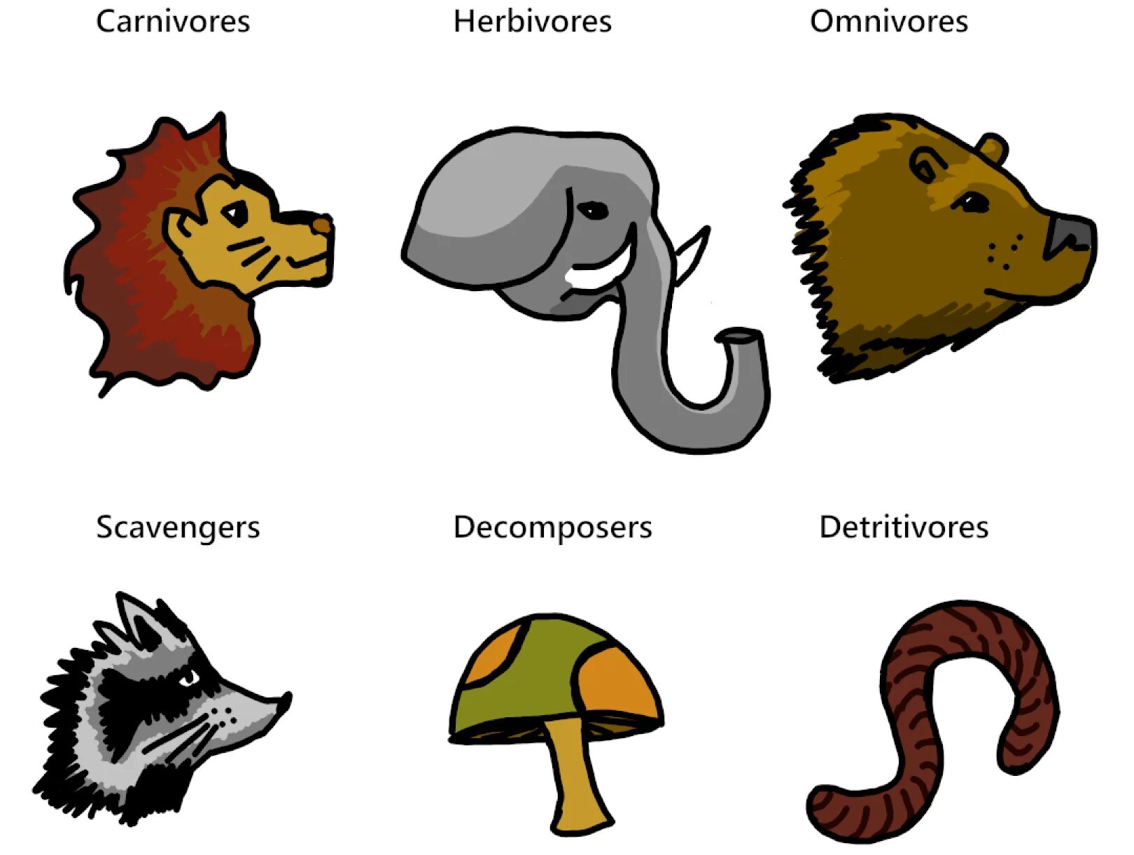 Carnivore перевод. Herbivore Carnivore Omnivore. Herbivores Carnivores and Omnivores. Herbivore Carnivore Omnivore Worksheet. Omnivorous animals.