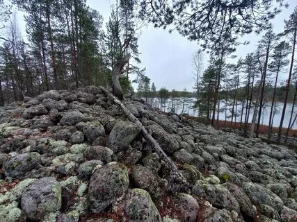 Гряды на реке