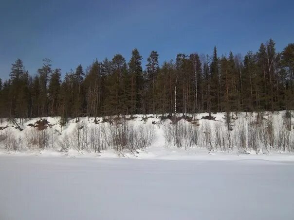 Погода в усогорске на 10. Юкон Усогорск. Природа Усогорска. Усогорск зимой. Горизонт Усогорск.