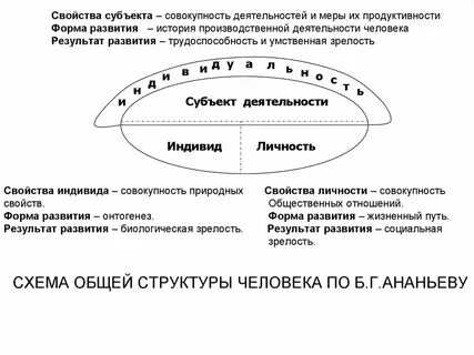 Деятельность человека свойства