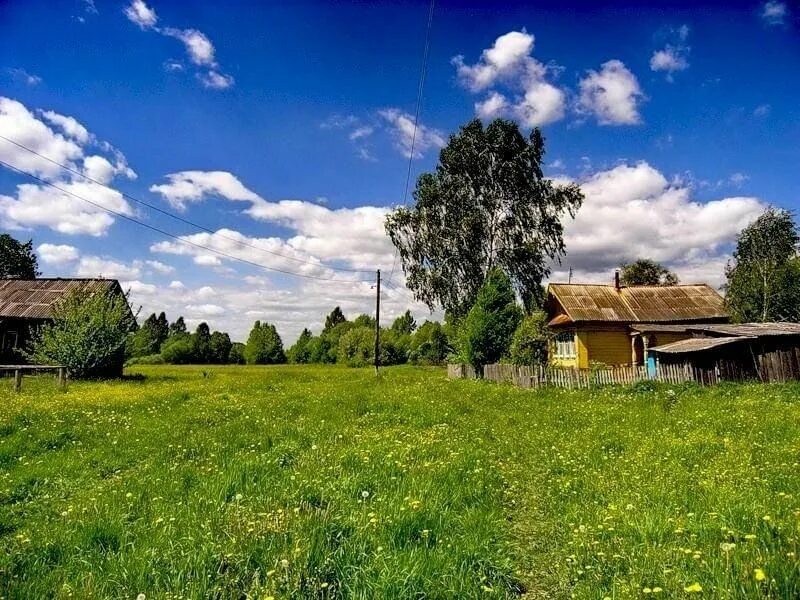 Мое село. Деревня деревенька. Деревня летом. Сельский пейзаж. Яркая деревня.