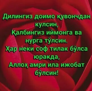Кун табриклари