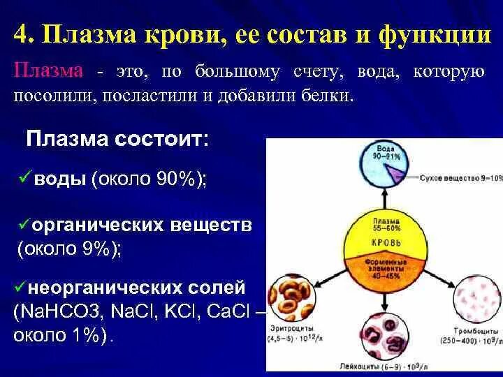 Объем плазмы крови составляет. Перечислите основные компоненты плазмы крови.. Плазма крови состав и функции. Плазма крови строение и функции. Перечислите основные функции плазмы крови.