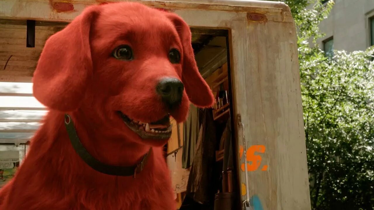 Большой клиффорд 2021. Красный пёс Клиффорд. Большой красный пёс кли.... Красный пёс Клиффорд 2021.