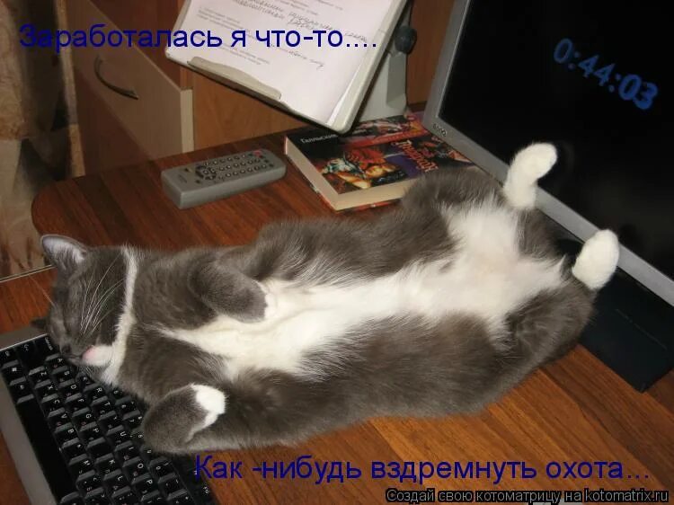 Почему ничего не охота. Заработалась я. заработался совсем. спать не охота. совсем там заработалась.