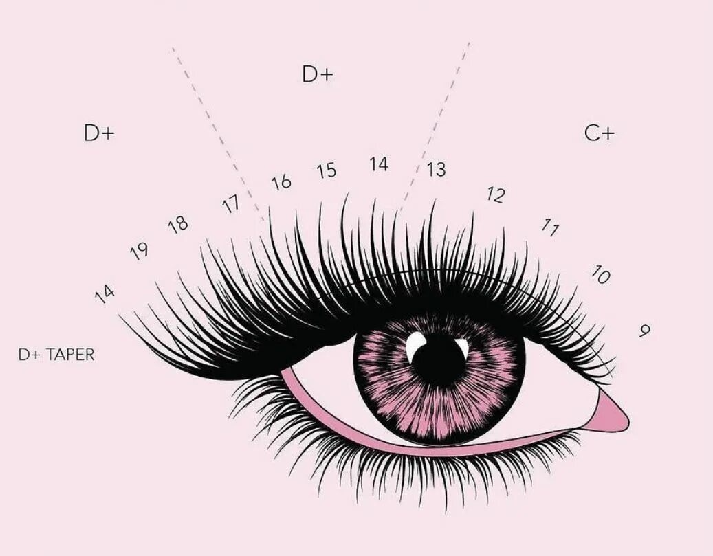 Наращивание ресниц схемы. Лисий эффект наращивание 2д схема. Эффект маскара в наращивании ресниц схема. Эффект Ким Кардашьян схема наращивания.
