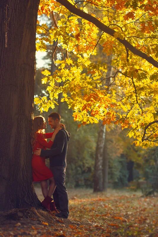 осенняя любовь слушать