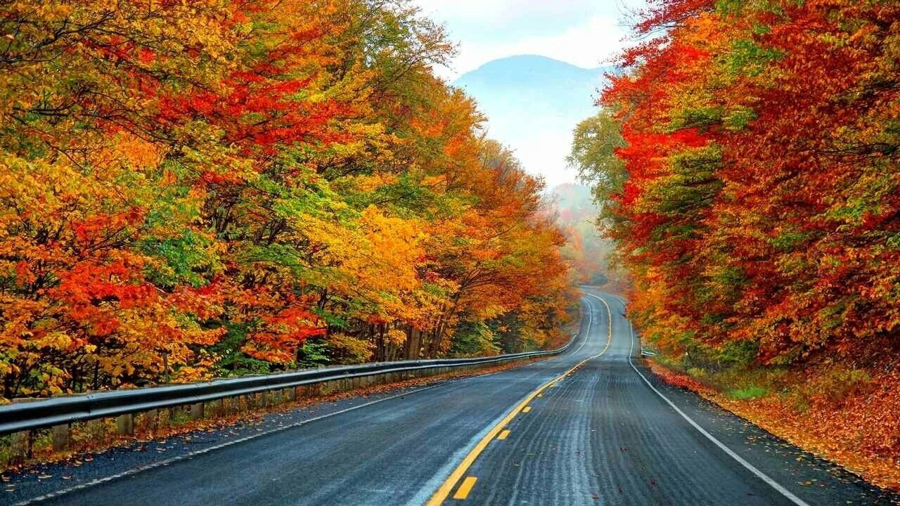 Яркая осенняя дорога. Осенние дороги. Осеннее шоссе. Яркая осень дорога.