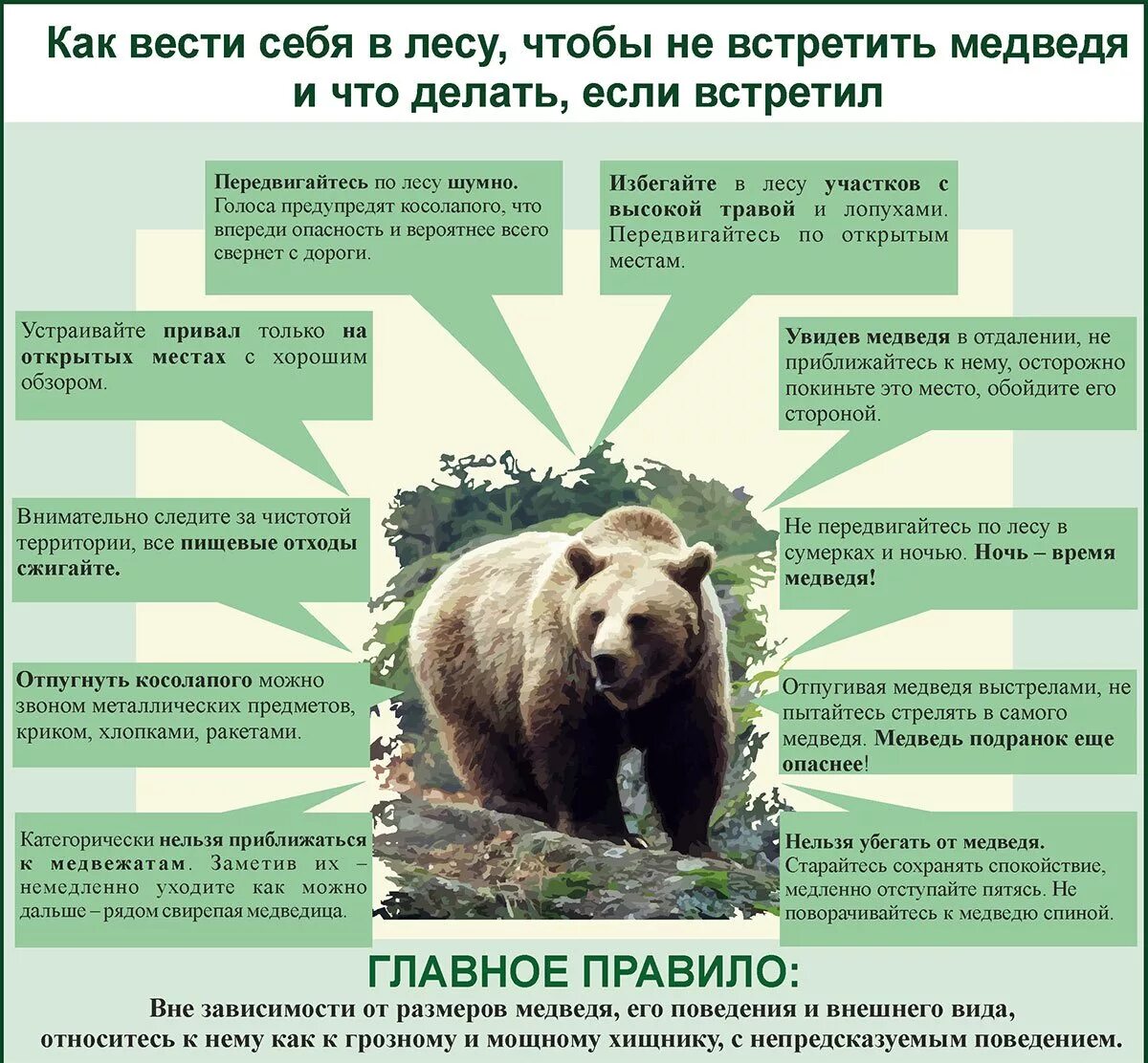 Как спастись от животных