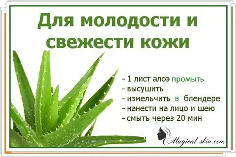 Протирать лицо алоэ
