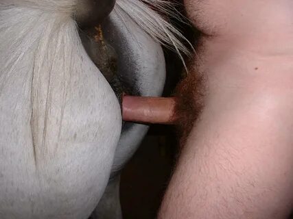 видео мужик и лошадь порно (117) фото 