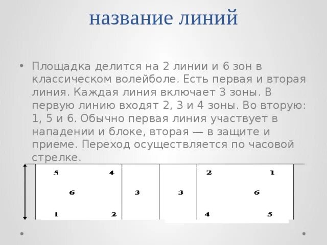 На сколько зон делится площадка. Линии площадки в волейболе. Волейбольная площадка название линий и зон. Волейбольная площадка делится на зоны. Названия линий волейбольной площадки.