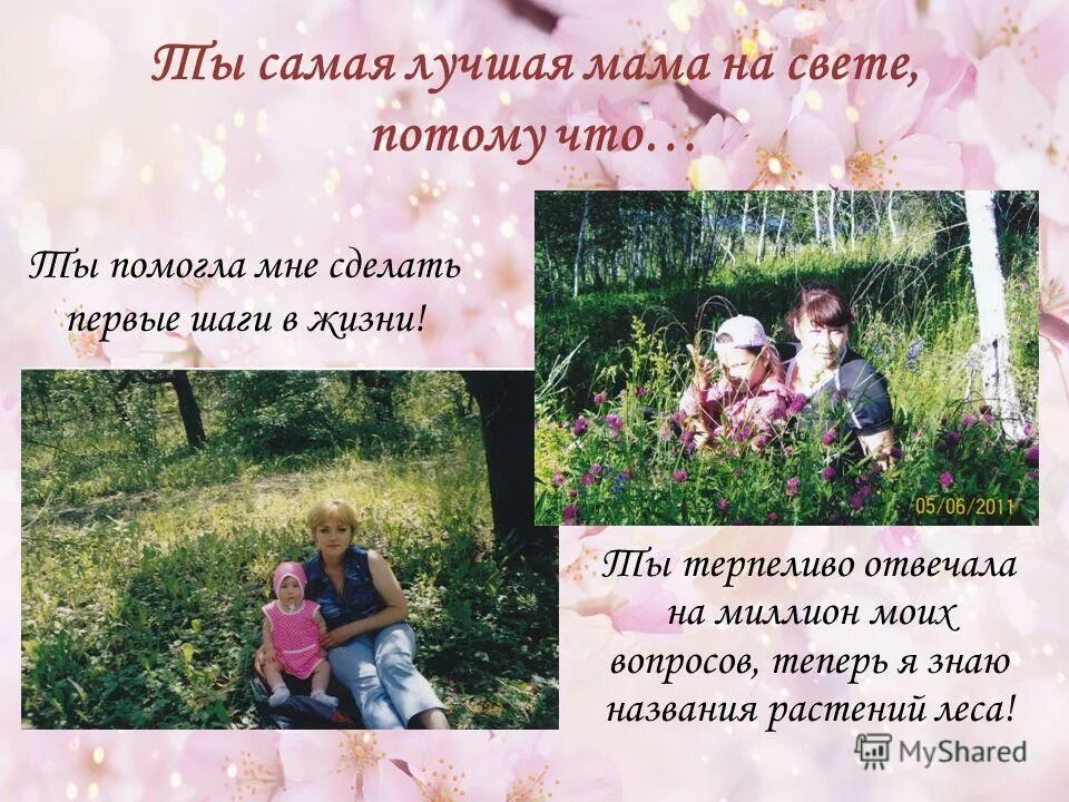 Потому что лучше мамы. Сколько живёт самая лучшая мама. Стих моя мама самая лучшая. Высказывания о бабушке и внуках. Цитаты про сына.