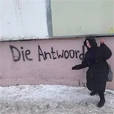 Настя дали
