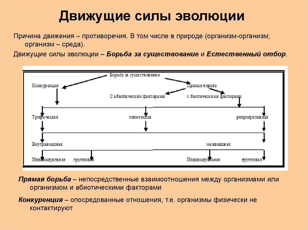 Теория дарвина движущие силы. Виды эволюции движущие. Движущие силы эволюционного процесса. Факторы движущие силы эволюции. Эволюция движущие силы эволюции.