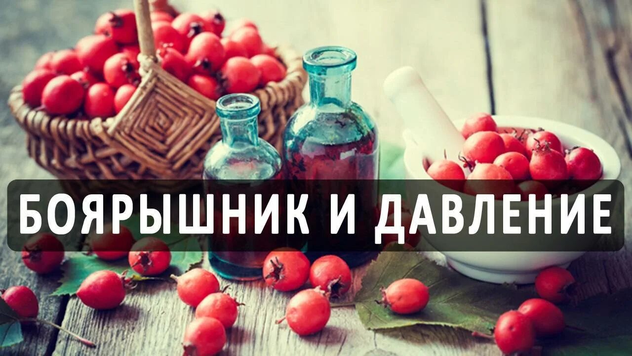 Боярышник снижает. Боярышник повышает или понижает давление. боярышник от давления высокого. боярка от давления. боярышник от давления ягоды.