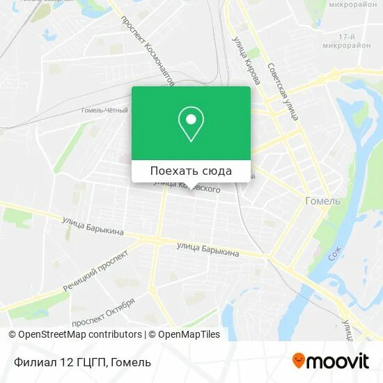 Больница мазурова. Врач говрушко гомель запись. Запись к врачу гомель. Гцгп гомель запись. Дружная 24а.