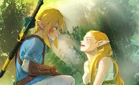 Link & Zelda by booriboori.