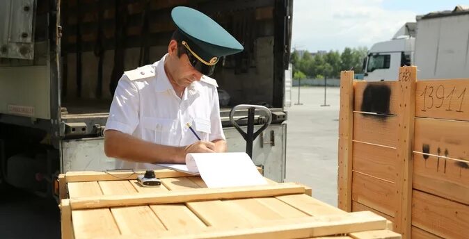 Customs cargo. Таможенная ревизия. Таможня проверяет груз. Таможня ввоз. Таможенный досмотр груза.