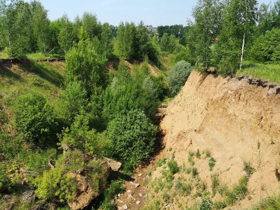 Зеленый овраг. Повсюду по овражкам по склонам. Лесной овраг. Повсюду по овражкам по склонам. Коломенское овраг.