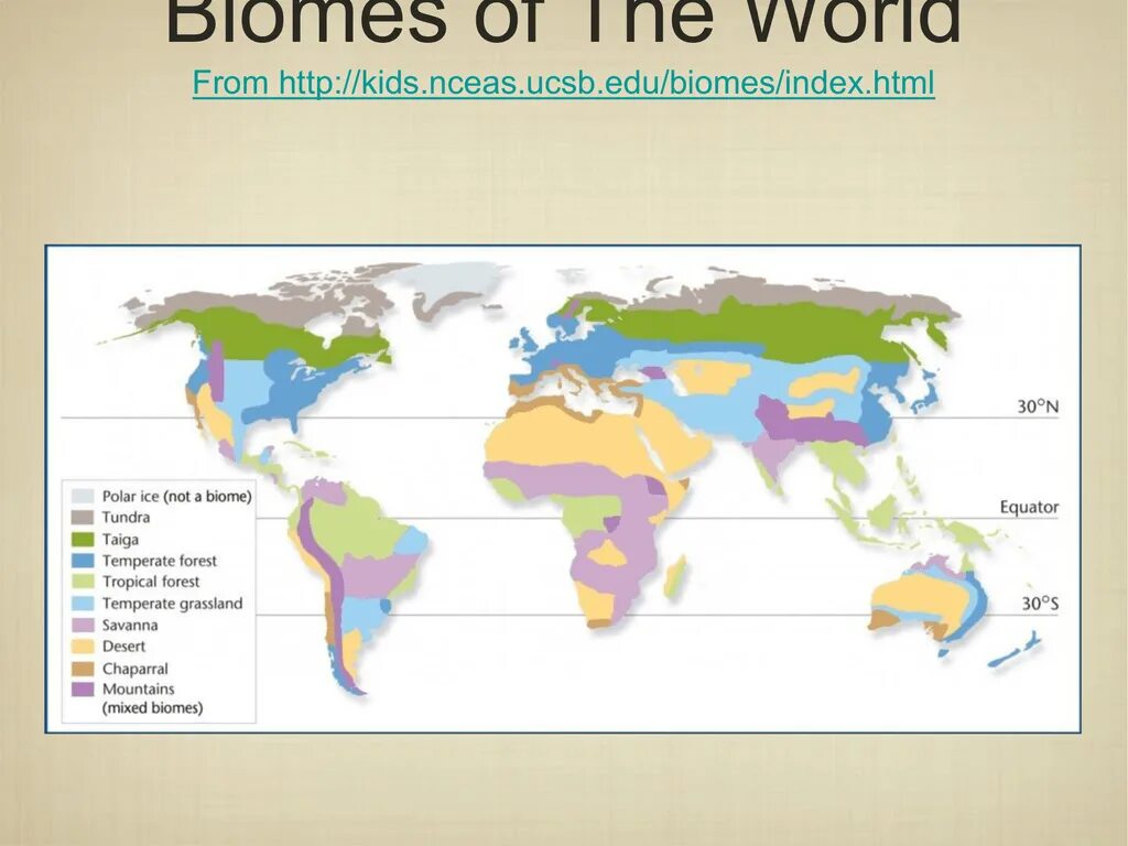 Биомы суши. Карта основных биомов суши. Карта зональных биомов.