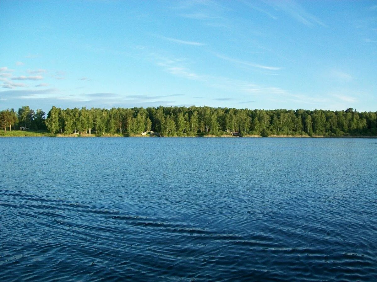 Озеро Данилово Муромцевский. Муромцево озеро Линево. Новосибирская область оз Данилово. Озеро Линево Омская область.